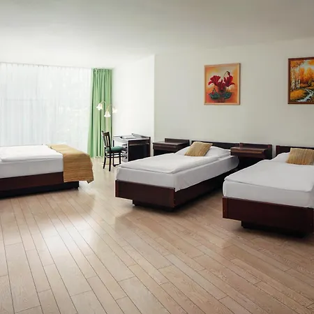 Ankora Hotell 3*