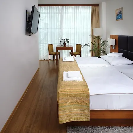 Hotel Ankora 3*